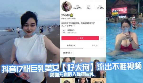 抖音17粉巨乳美女【好大狗】流出不雅视频，啪啪无