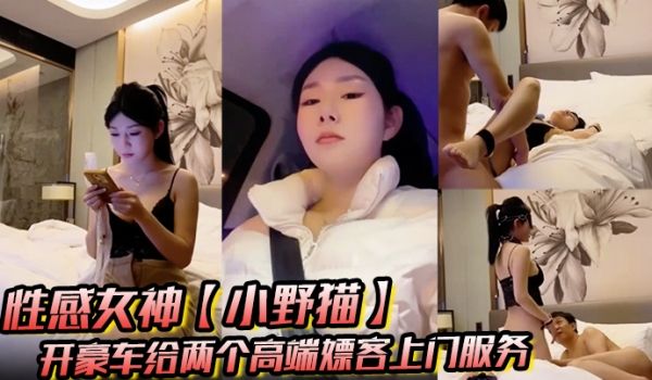 性感女神【小野猫】开豪车给两个高端嫖客上门服务猥