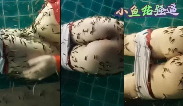 小鱼钻骚逼